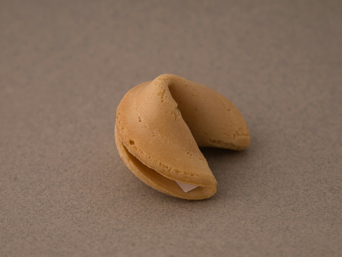 ADAPTED FORTUNE COOKIE&nbsp;WISDOM