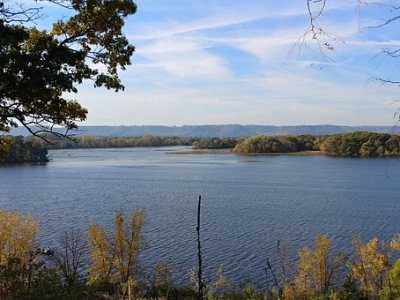 Armistice Day Duck Hunt,&nbsp;1940